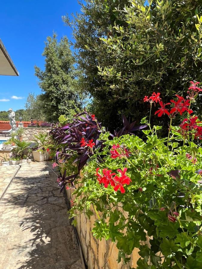 Апартаменти Gorana Apartman With Swimming Pool Єлса Екстер'єр фото
